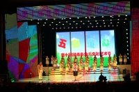 第十屆淮南市少兒文化藝術(shù)節(jié)演出