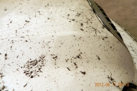 麥秸焚燒 害人啊！