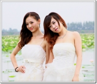 荷花淀里美女俏（一）