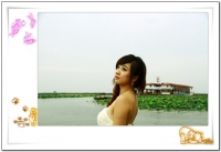 荷花淀里美女俏（四）