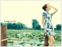 這個(gè)湖 這片荷 