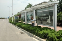 淮南多處公交站種滿綠化樹