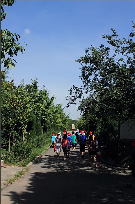 開展愛國主義和革命傳統(tǒng)教育