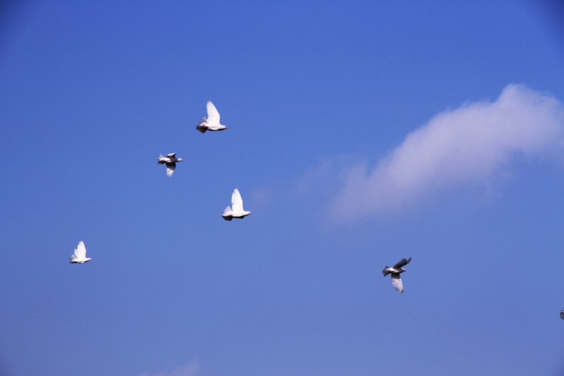 泉山湖掠影（一）