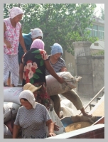 調檔加油送糧忙