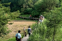 大通濕地公園小景