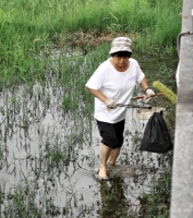 環衛工人的風采