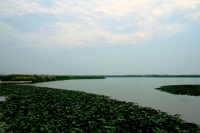 巢湖濱湖風(fēng)光