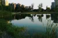 合肥望湖城游園