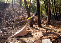 四驅(qū)精英大玩家