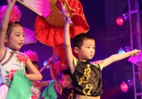 淮南市鄉鎮綜合文化站文藝匯演剪影（一）