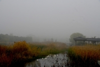 初冬的早晨（一）