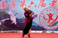 一個老藝人的舞臺風(fēng)彩