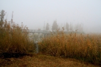 初冬的早晨（二）