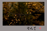 冬天里的四頂山