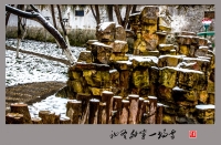 初冬的第一場雪