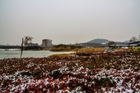 龍泉冬韻（二）