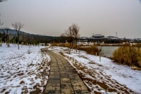 龍泉冬韻（五）