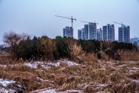 龍泉冬韻（六）20130119