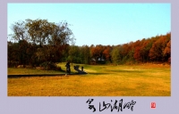 泉山湖畔（一）