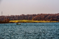 泉山湖剪影（二）