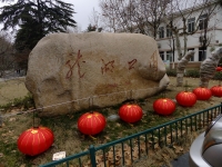 火紅的龍湖忙迎春