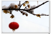 老千：雪中即景