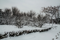 瑞雪鬧新春-----龍泉（一）