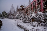 瑞雪鬧新春-----龍泉（二）