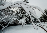 瑞雪鬧新春-----龍泉（三）