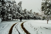 瑞雪鬧新春-----龍泉（四）