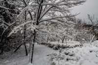 瑞雪鬧新春-----龍泉（五）