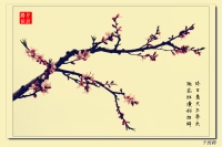 老千：南塘桃花