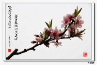 老千：幾張習作