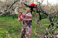 春天里的花仙子