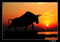 淮南電力真牛！