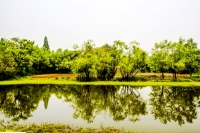 杭州西溪濕地風光（五）