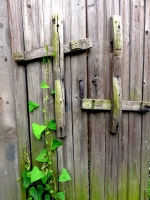 古鎮拾遺（安徽南陵弋江）