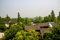 杭州西溪濕地風光（七）