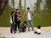 給小明星拍照--獻給六一