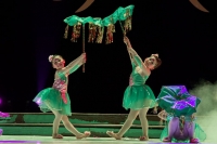 《中國夢 我的夢》--2013淮南市少兒文藝調(diào)演（二）