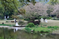 無錫【梅園與櫻花林】