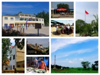 美好鄉村－－孫廟鄉行記