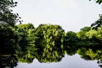 西湖風光（十）