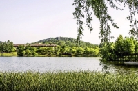 杭州良渚文化村--美麗洲公園掠影（一）