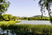 杭州良渚文化村--美麗洲公園掠影（二）