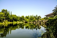 杭州良渚文化村--美麗洲公園掠影（七）