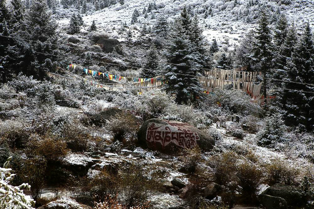 驢行川藏第一險(xiǎn)——翻越冰雪覆蓋的雀兒山(組照)