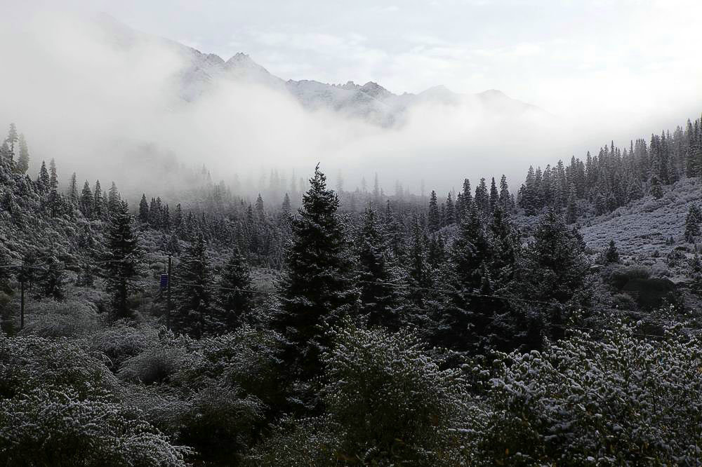 驢行川藏第一險(xiǎn)——翻越冰雪覆蓋的雀兒山(組照)