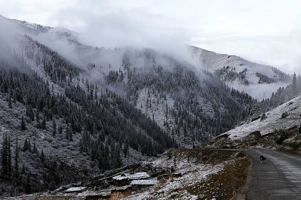 驢行川藏第一險(xiǎn)——翻越冰雪覆蓋的雀兒山(組照)